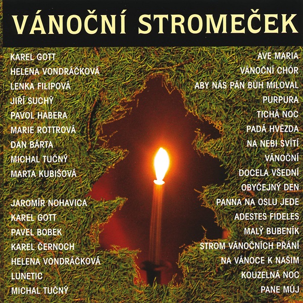 Various - Vanocni stromecek (2012).jpg