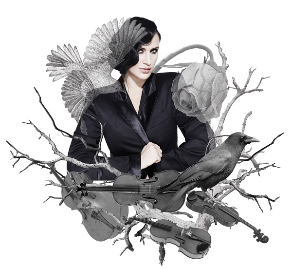 Cover.jpg