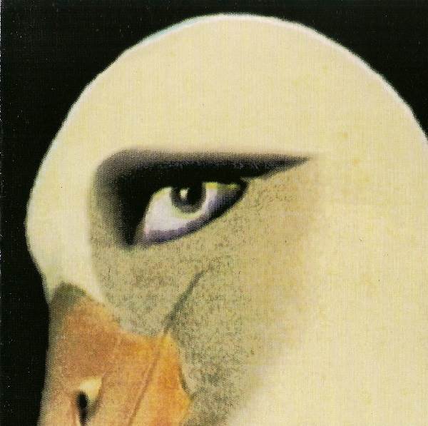 Cover.jpg