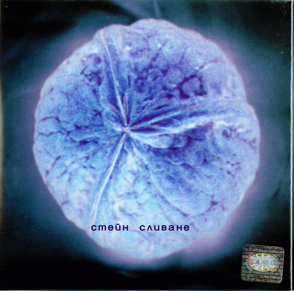 Стейн - Сливане (2000).jpg