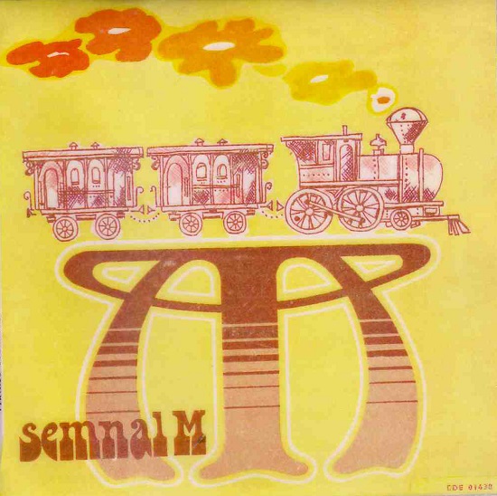 Semnal M - Trenul Cursa De Persoane Apahida-Cluj-Napoca (1979).jpg